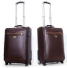 Leather Luggage