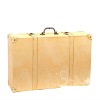 Legend 18inch genuine leather luggage case, brown/back/red