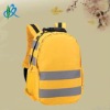 Leisure Trendy Polyester Backpack