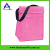 Leisure new basket  cooler  bag