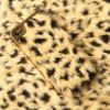 Leopard Feather Golden Electroplate Skin Case Shell For iPhone 4 4S