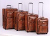 Lingshi Snake Leather Trolley Luggage Set