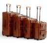 Long luggage trolley bags