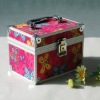 Lovely Pink Butterfly pattern Aluminum Vanity Case