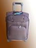 Lovely personality mini trolley luggage