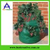 Lovely winter planting grow strawberry bag