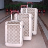 Luggage