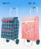 Luggage Cart with Bag