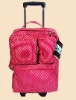 Luggage case/ Trolley case/travel case