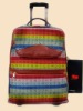 Luggage case/ Trolley case/travel case