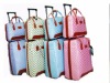 Luggage case/ Trolley case/travel case