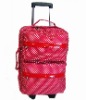 Luggage case/ Trolley case/travel case