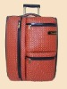 Luggage case/ Trolley case/travel case