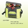 Lunch Cooler Bag