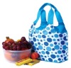 Lunch Cooler Bag