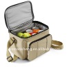 Lunch cooler bag for promotion