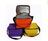 Lunch non-woven cooler bags