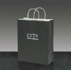 Luxury paper bag for clothes