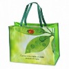 Matt Lamination Shopping PP Non woven Bag (glt-a0033)