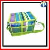 Mini Cooler Bag for Frozen Food