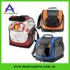 Mini Cooler Tote  bag / Kid's Cooler Tote Lunch Bag /plastic lunch box cooler bag