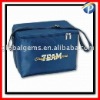 Mini cooler bag for Promotion