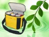 Mini insulated cooler picnic bage for export