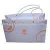 Model JY1043 PP plastic  bag box case for promotion shopping gift purpose