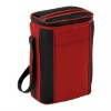 Multi Botte Insulated Cooler Bag