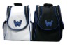 Multi-Function Carry Bag for Wii