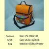 Multi-function Insulated cooler bag