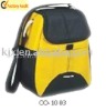 Multifunctional cooler bag