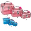 NEWEST aluminum cosmetic display case