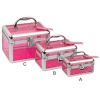 NEWEST aluminum cosmetic display case