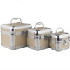 NEWEST aluminum decorative cosmetic case