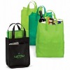 NWE-69 Non Woven Promotional Bags