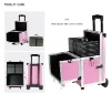 New ABS Aluminum Trolley Cosmetic Case for Beauty Salon (513)