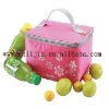 New Arrival Cooler Bag