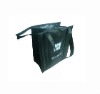 New Fashion Eco-friendly Cooler Bag