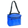 New INSULATED COOLER - 2 Color Choices