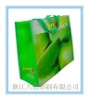 New Non-Woven Shopping Bag