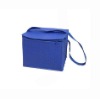 New Picnic Cooler Bag