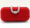 New Style Evening Purse