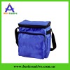 New Style Wine cooler plastic bag/nylon plastic bag