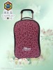 New Stylish Aluminum Luggage Trolley Case