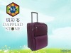 New Stylish Aluminum trolley luggage case