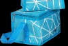 New design cooler bag