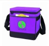New design food cooler bag(s11-cb002)