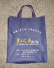 New design non woven bag