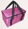 New design picnic cooler bag for promotion